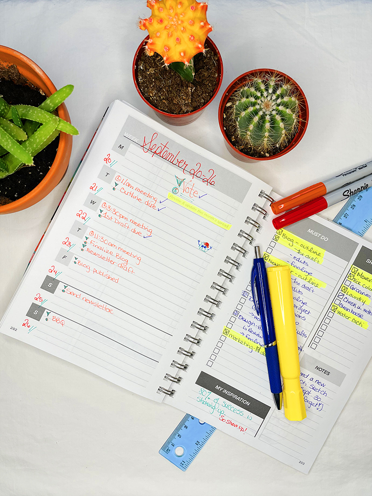 Clever Cactus Planner My Weeks example pages