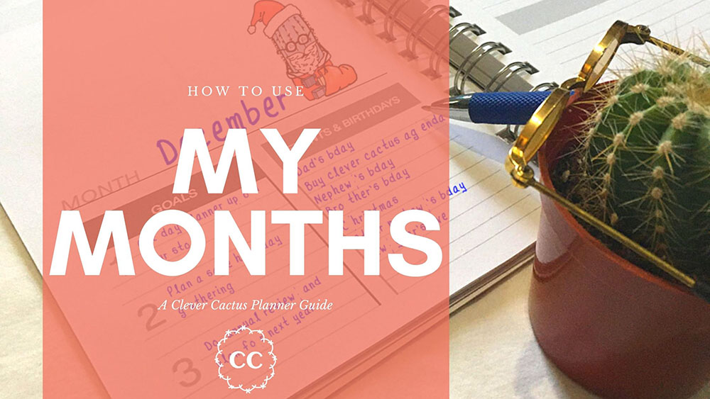 My Months Clever Cactus