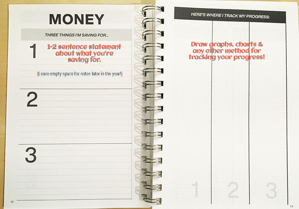 Clever Cactus planner - My Year guide - Money page 12 - 13