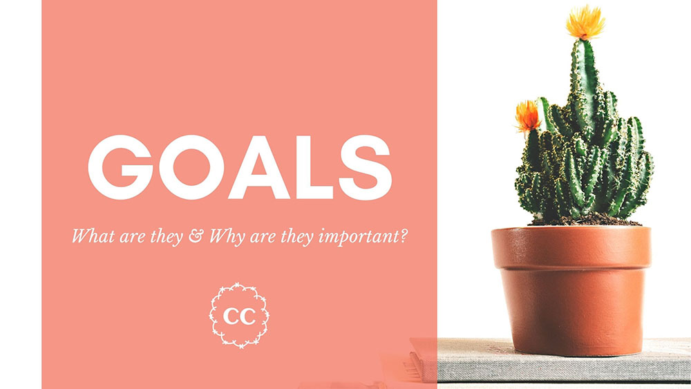 Clever Cactus - Goals defined why important