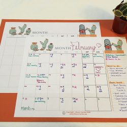 Clever Cactus Calendar colour glamour