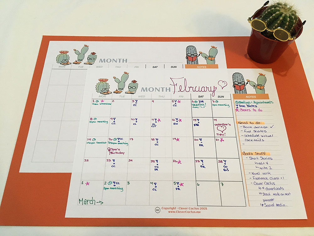 Clever Cactus Calendar colour glamour