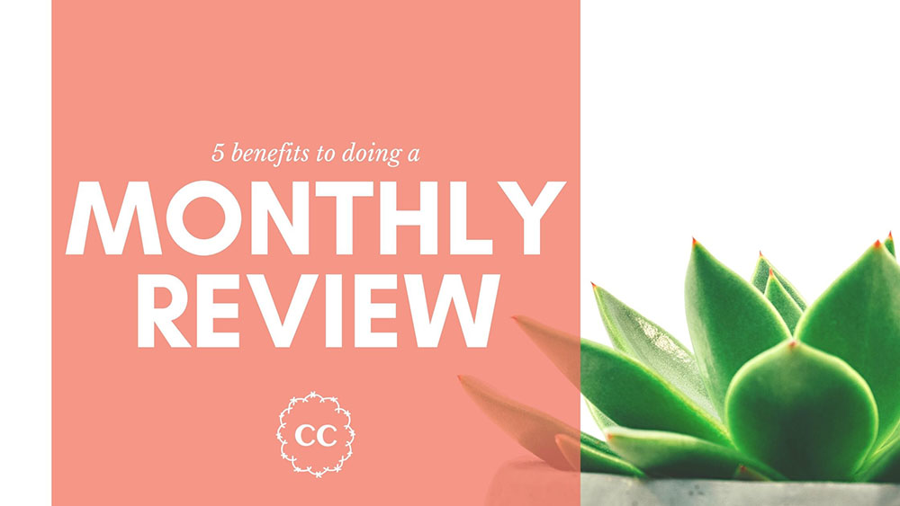 Clever Cactus Monthly Review - 5 Benefits to doing one