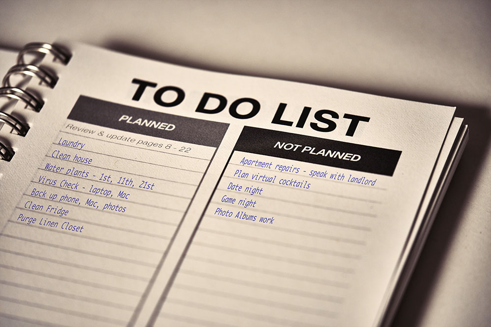 Clever Cactus Guide to the Monthly Review - To Do List