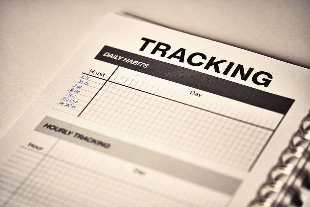 Clever Cactus Guide to the Monthly Review - Tracking