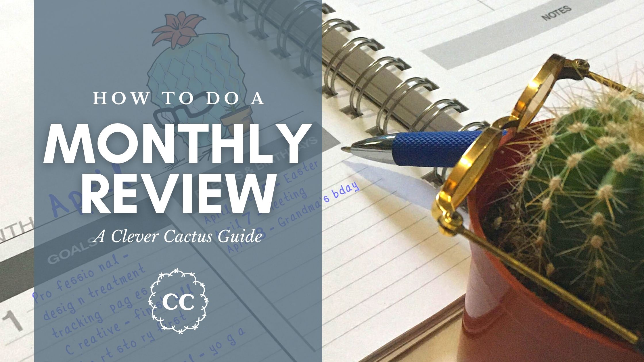 Monthly Review Clever Cactus Guide lead image