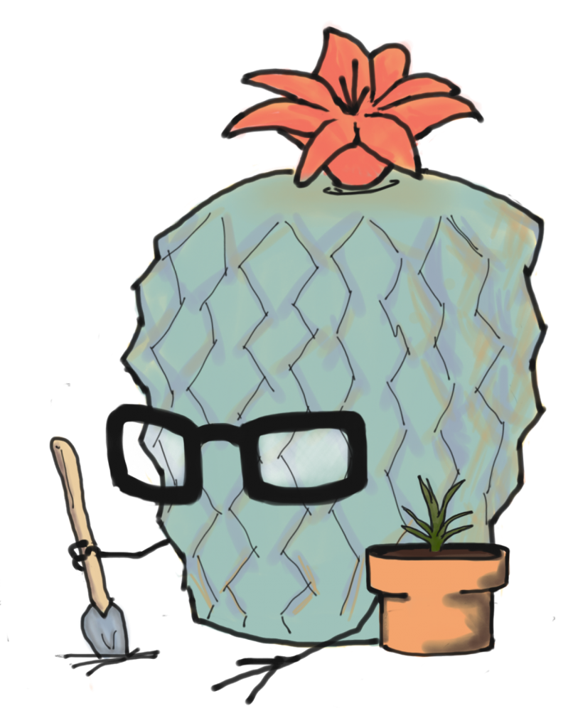 Clever Cactus Spring - Gardening