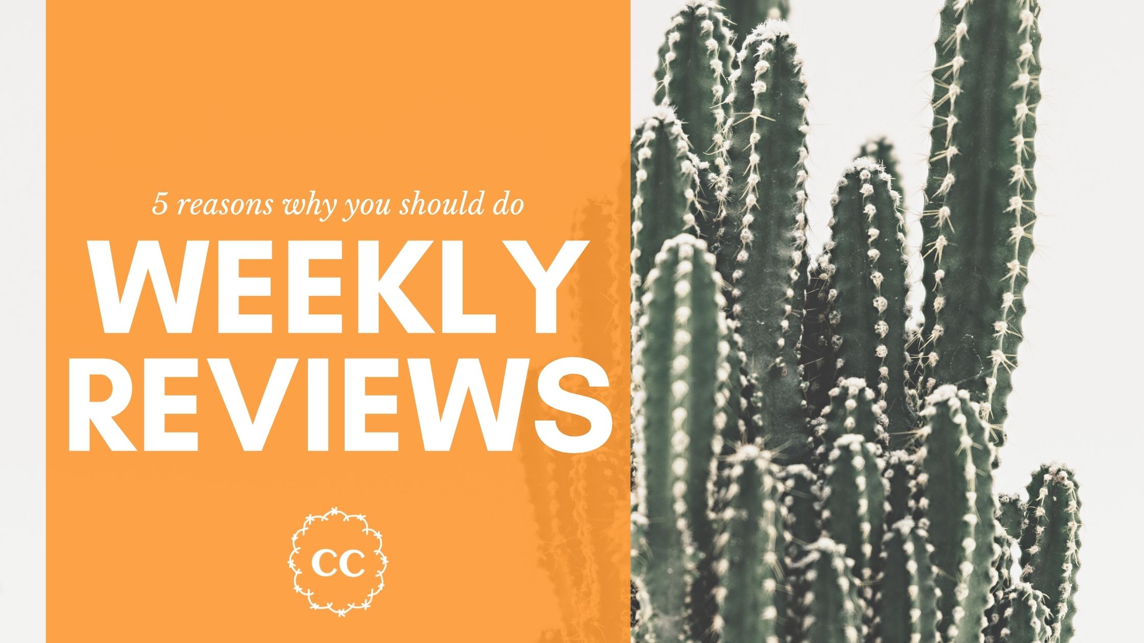 Weekly Reviews Benefits - Clever Cactus