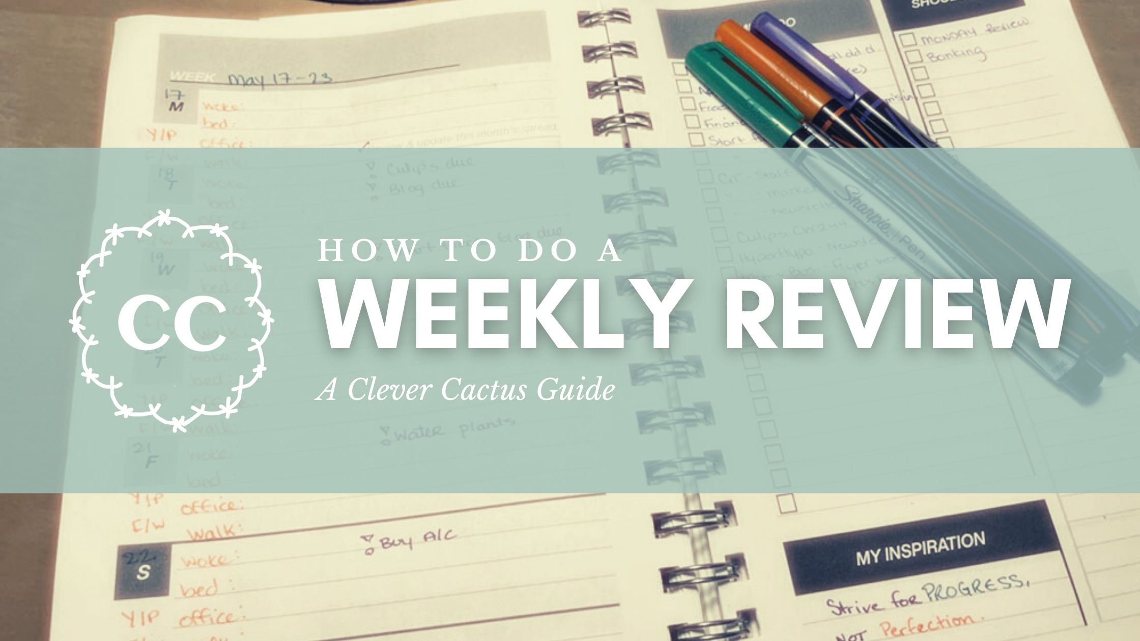 Weekly Review Clever Cactus How To Guide