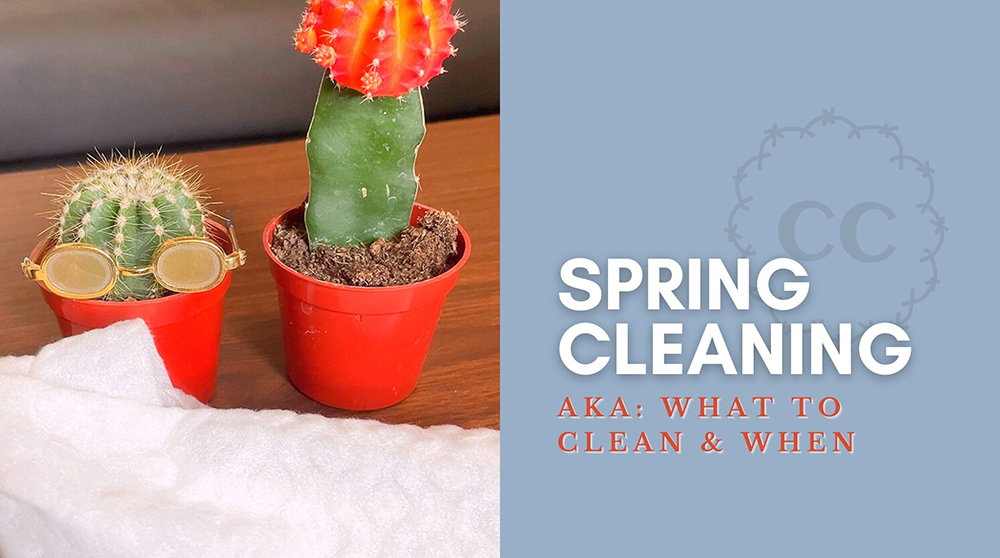 Spring Cleaning Lead Image