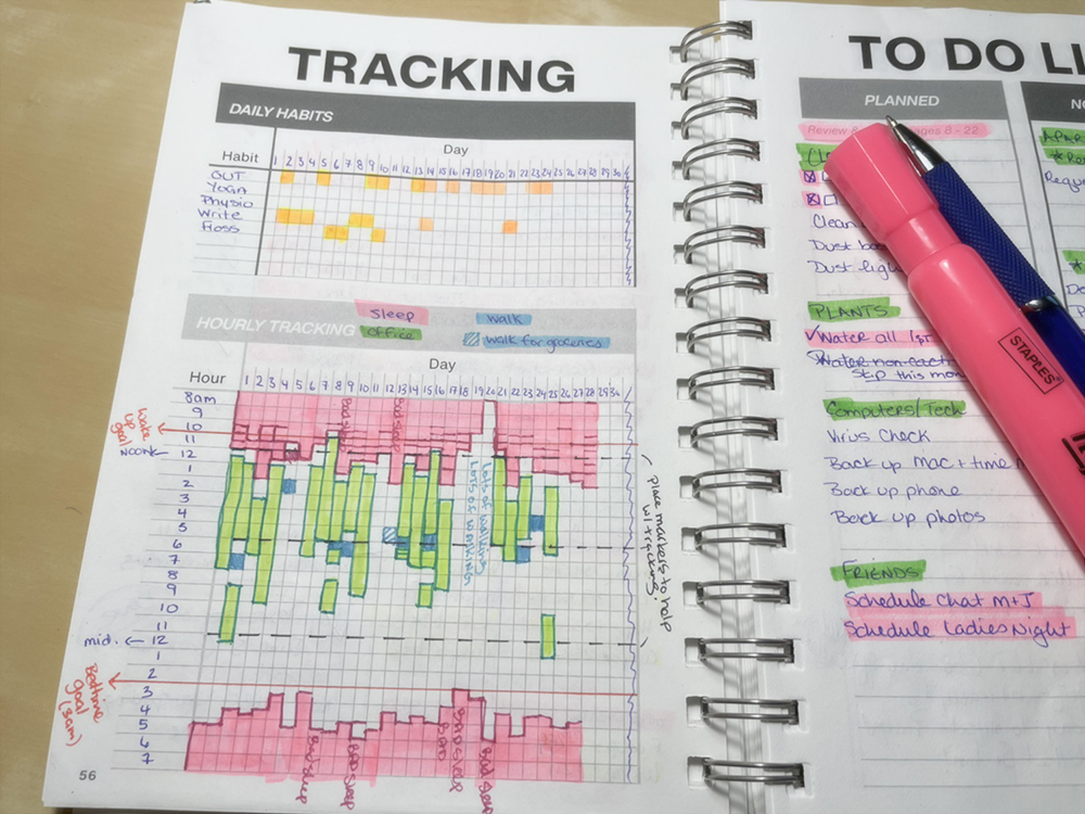Daily Habit Tracking Clever Cactus