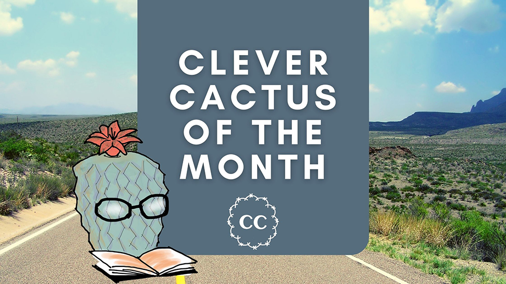 Cactus of the Month July - Thelocactus Bicolor