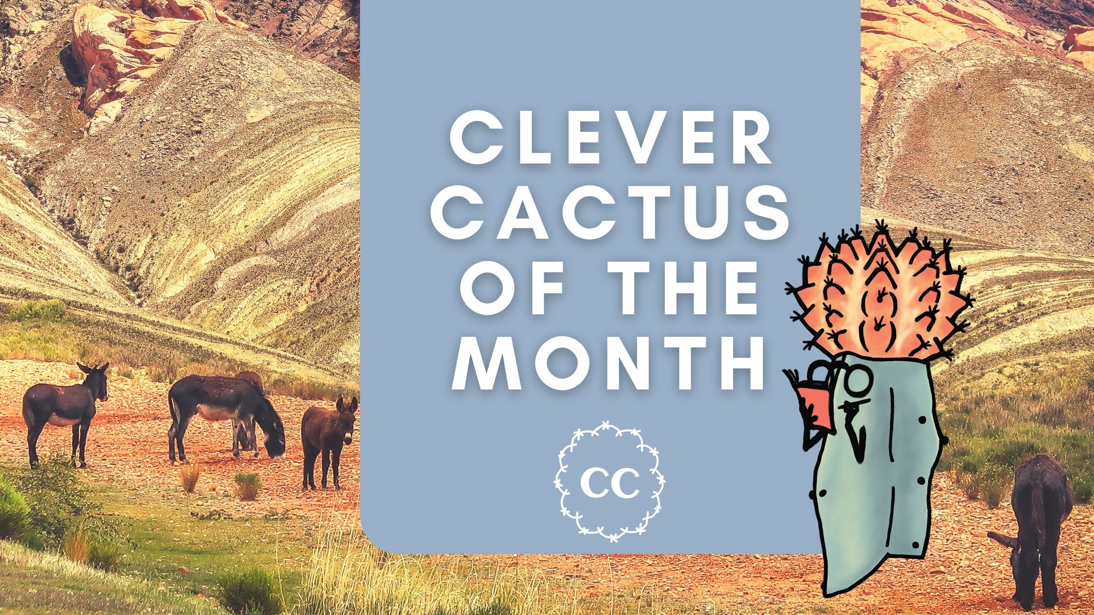August Cactus of the Month