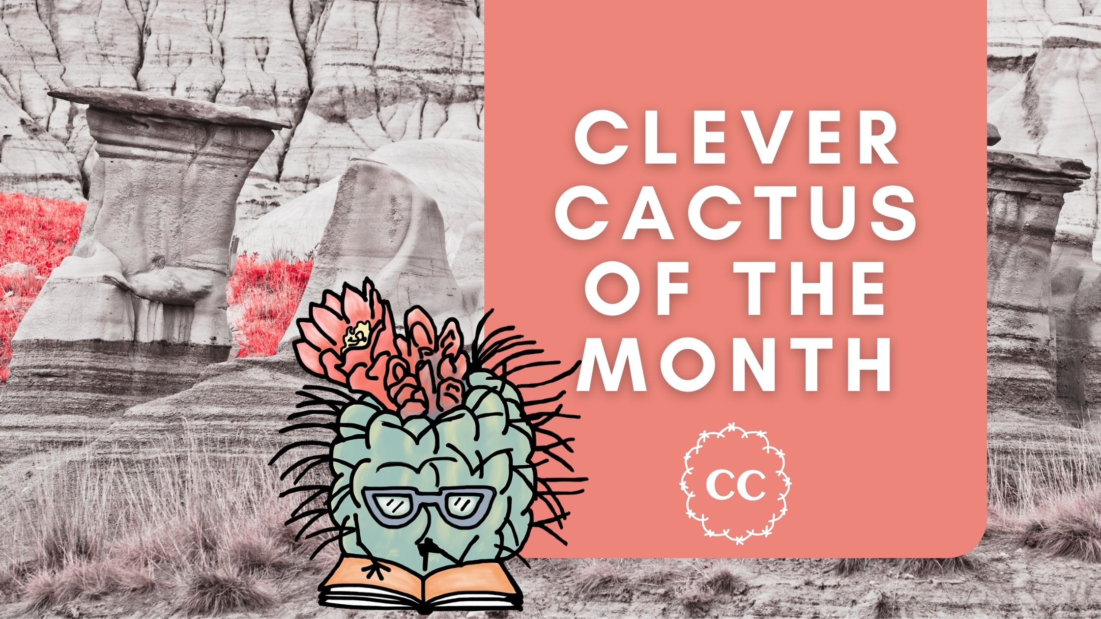 Clever Cactus of the Month September; Smallflower Fishhook Cactus