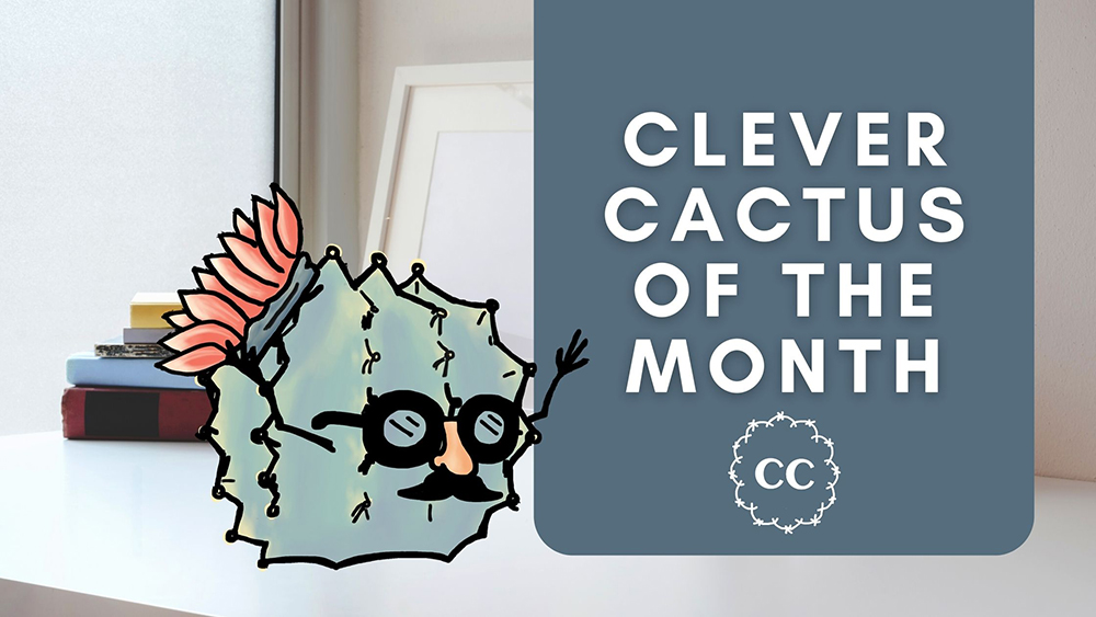 Imposter Cactus Cactus of the Month November