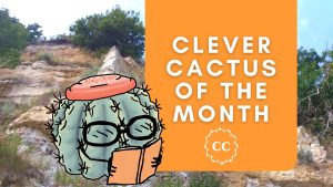 Turk's Cap is the Clever Cactus of the Month for February; Copyright 2022 Clever Cactus